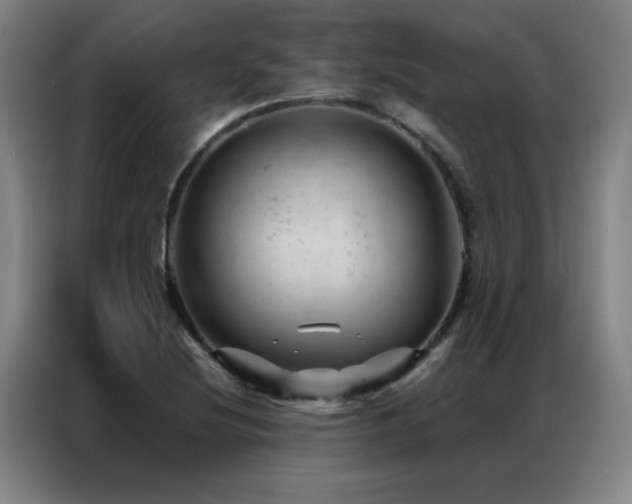 X0000087381220200704201239