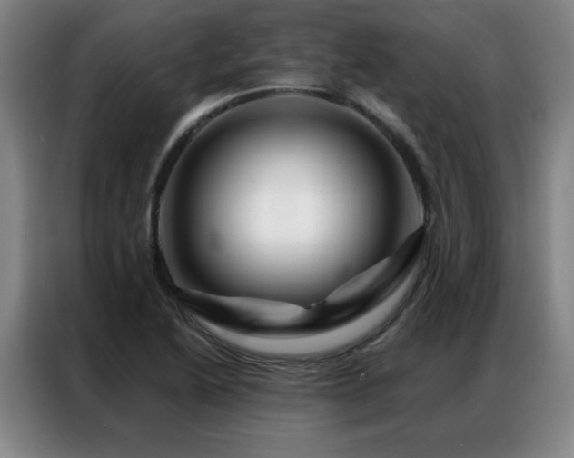 X0000087381222200704201239
