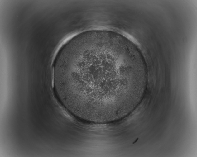 X0000087381223200704201239