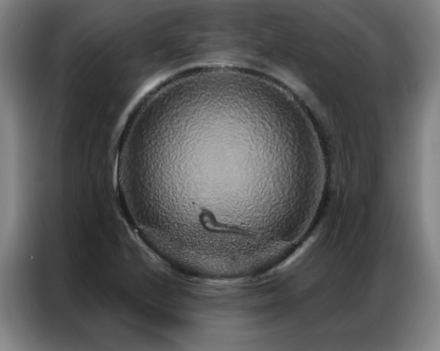 X0000087381224200704201239