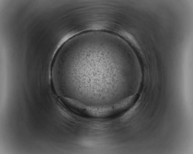 X0000087381226200704201239