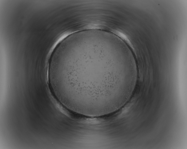 X0000087381227200704201239
