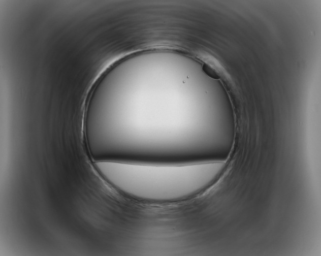 X0000087381228200704201240