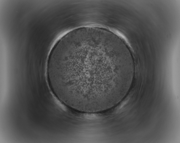 X0000087381231200704201240
