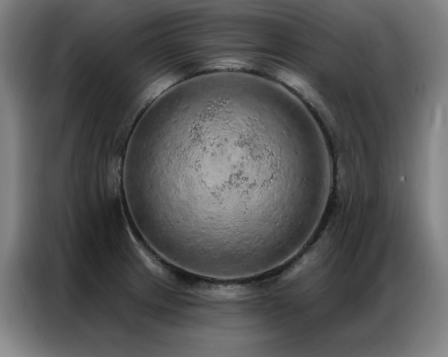 X0000087381233200704201240