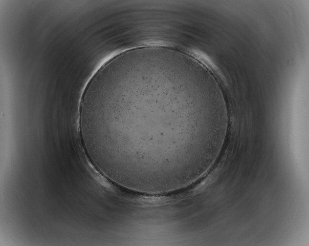 X0000087381236200704201240