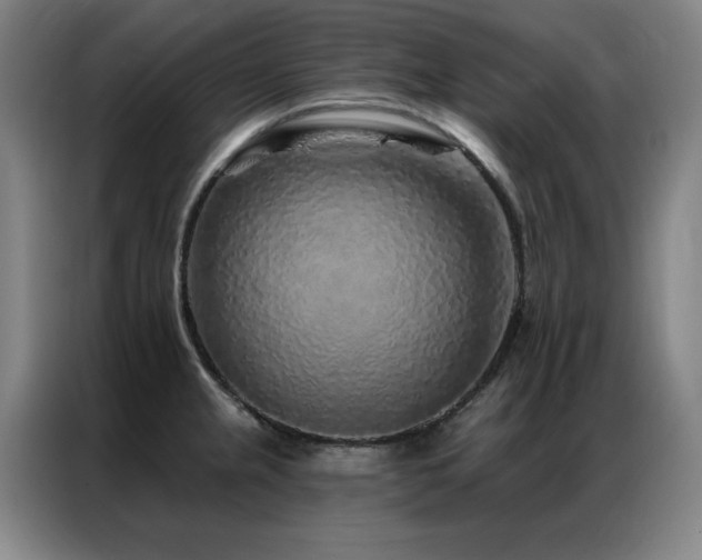 X0000087381237200704201240
