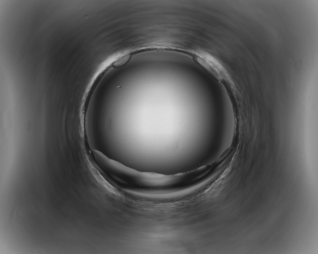 X0000087381238200704201240