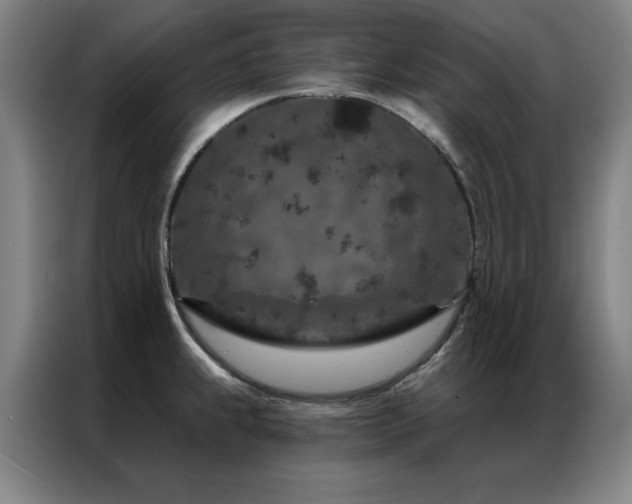 X0000087381239200704201240