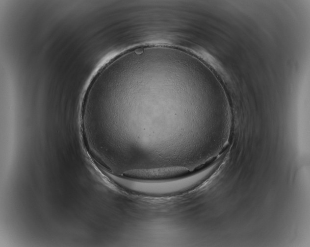X0000087381240200704201240