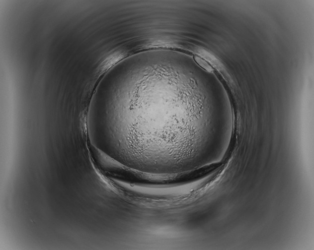 X0000087381241200704201240