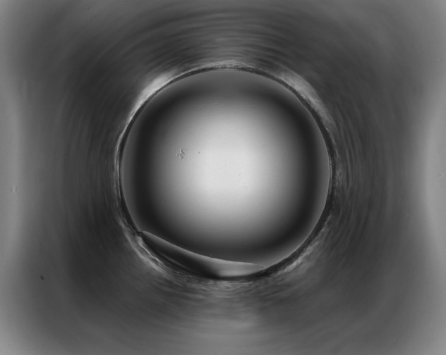 X0000087381242200704201240
