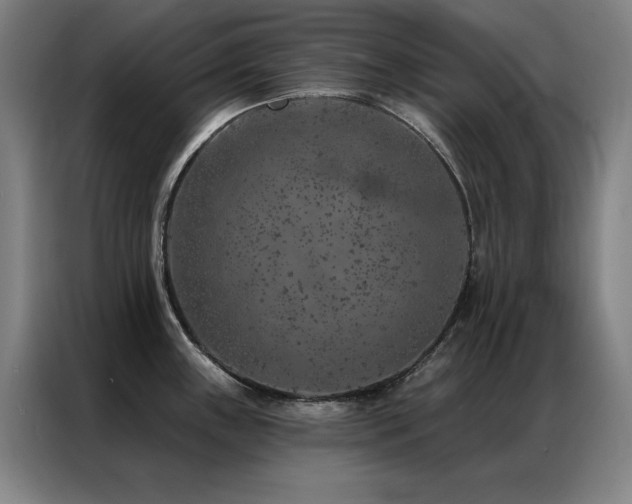 X0000087381243200704201240