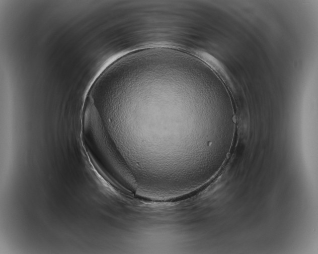 X0000087381244200704201240