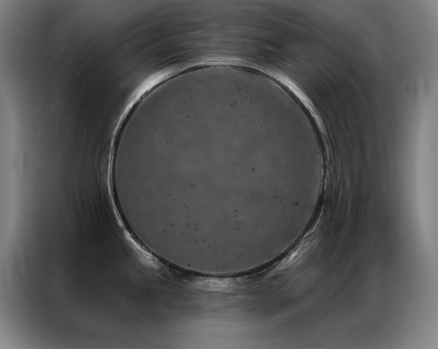 X0000087381245200704201240