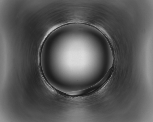 X0000087381246200704201240
