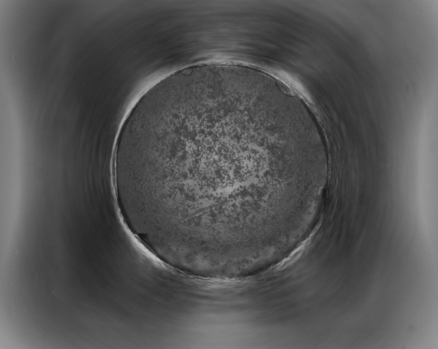 X0000087381247200704201240