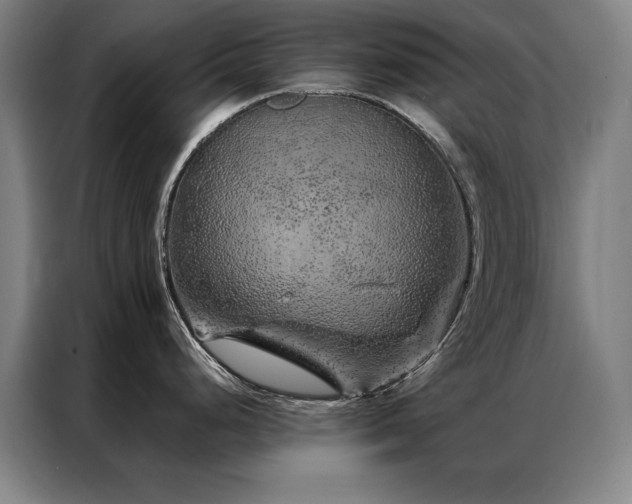X0000087381248200704201240