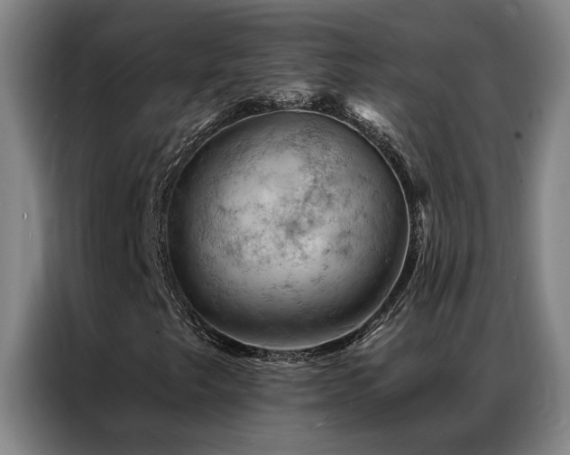 X0000087381249200704201239