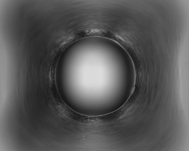 X0000087381250200704201239