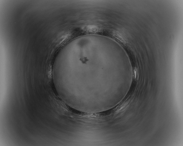 X0000087381251200704201239