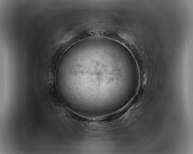 X0000087381253200704201239