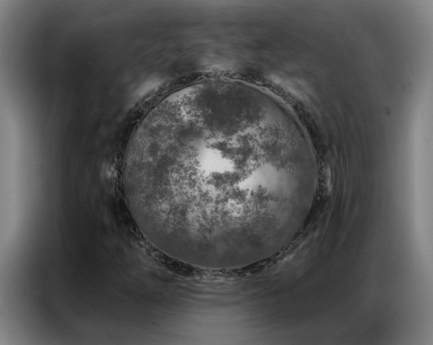 X0000087381254200704201239