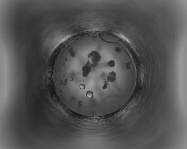 X0000087381255200704201239