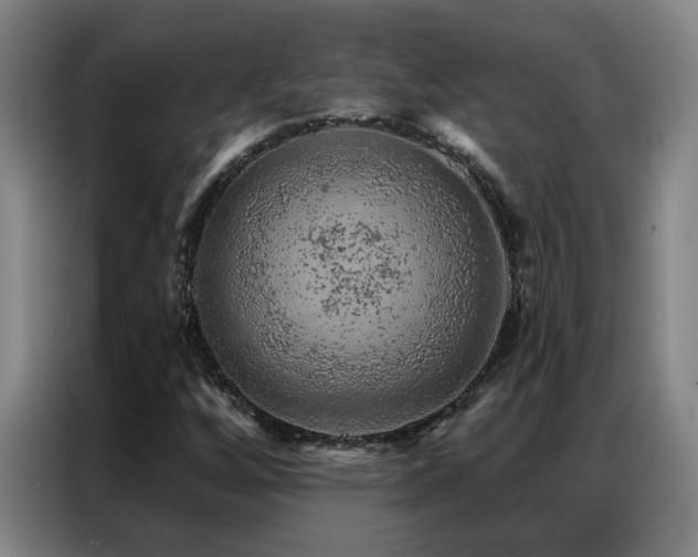 X0000087381256200704201239