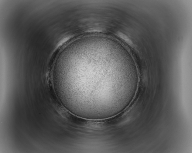 X0000087381258200704201239