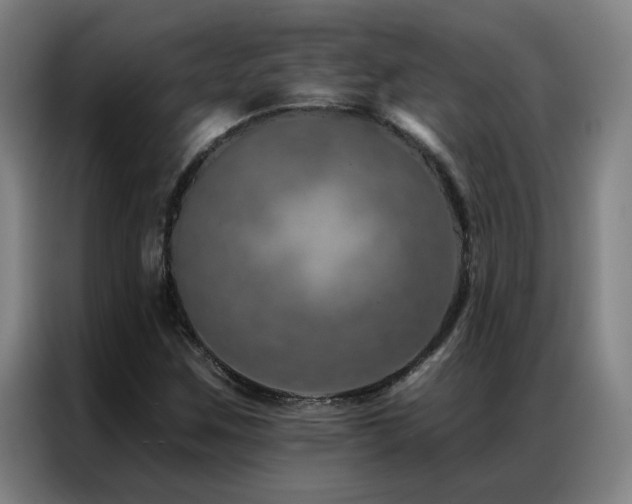 X0000087381259200704201239