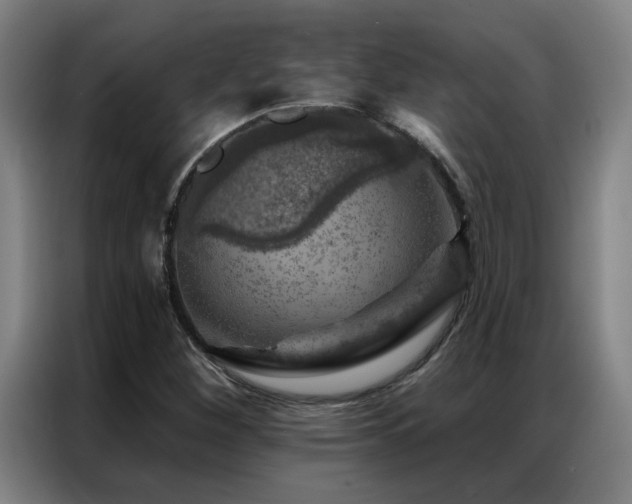 X0000087381260200704201239