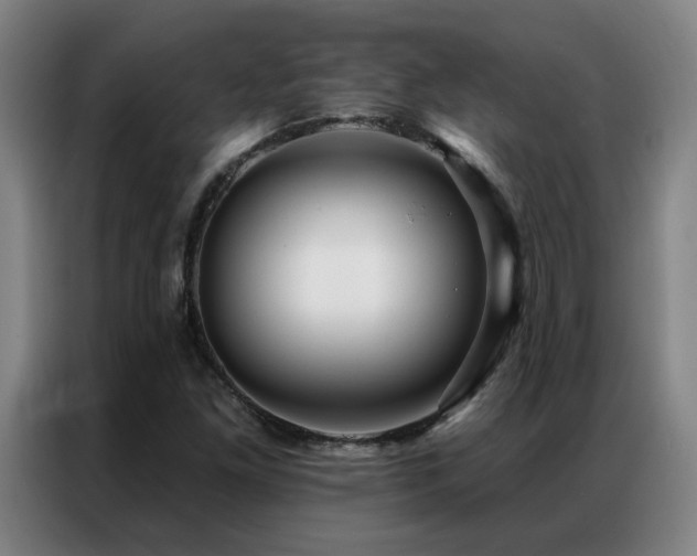 X0000087381261200704201239