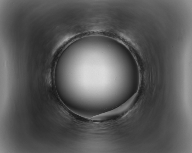 X0000087381262200704201239