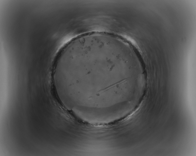 X0000087381263200704201239