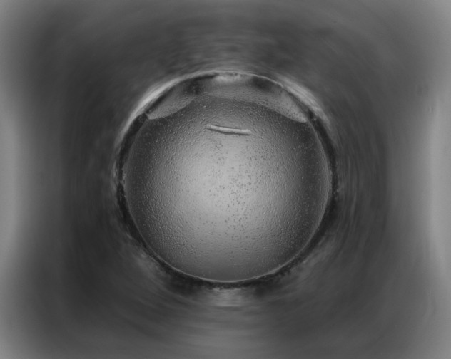 X0000087381264200704201239