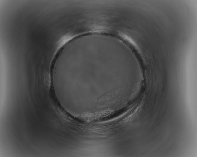 X0000087381267200704201239