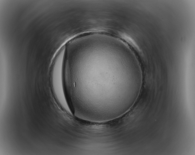 X0000087381268200704201239