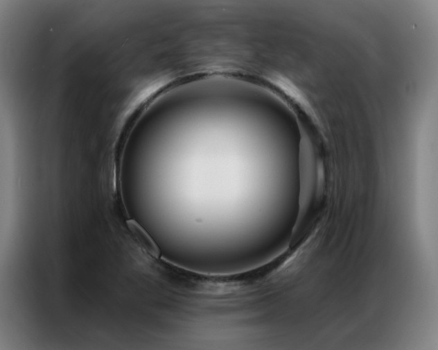 X0000087381269200704201239