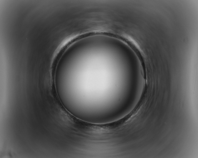 X0000087381270200704201239