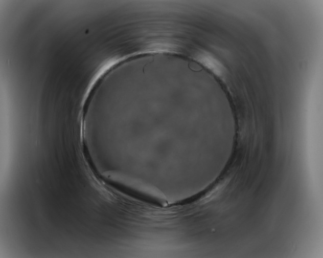 X0000087381275200704201239