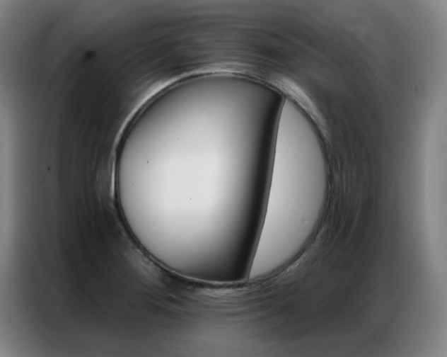 X0000087381276200704201239