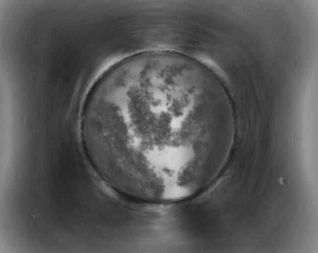 X0000087381278200704201239