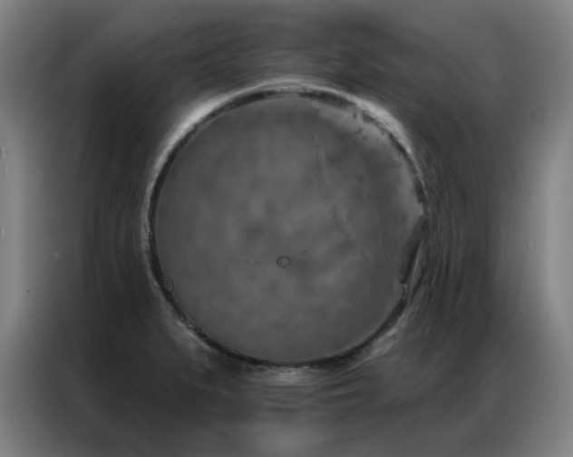 X0000087381279200704201239