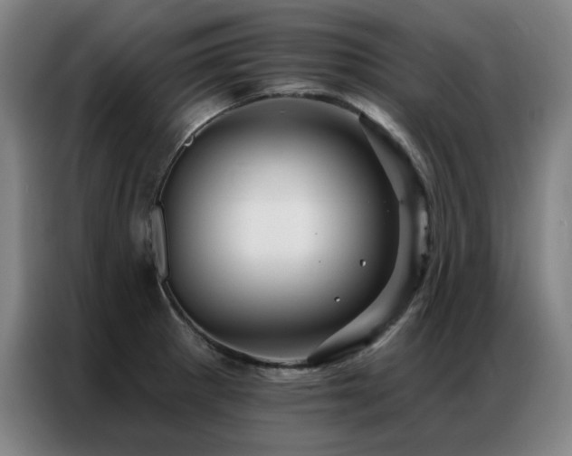 X0000087381281200704201239