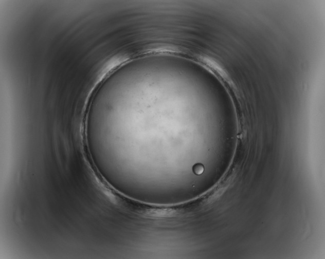 X0000087381282200704201239