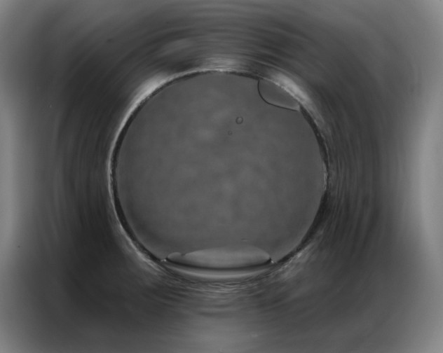 X0000087381283200704201239