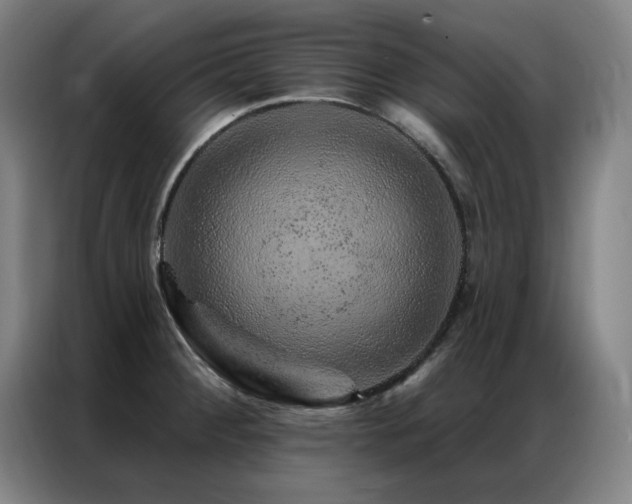 X0000087381284200704201239