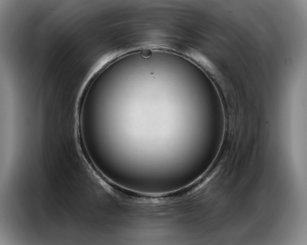 X0000087381286200704201239