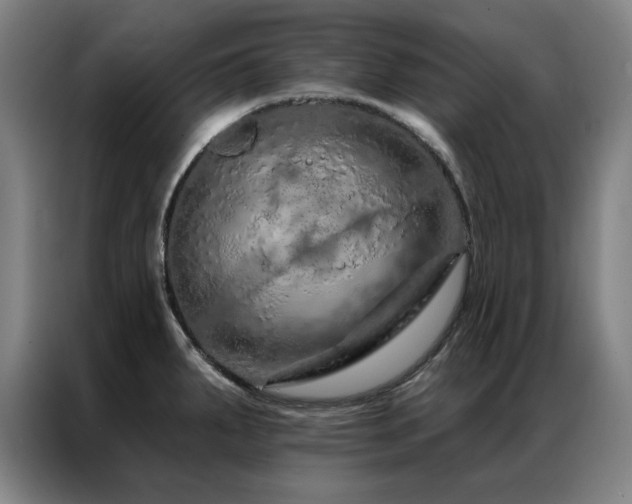 X0000087381287200704201239